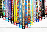 Themed Dog Collars &amp; Leads