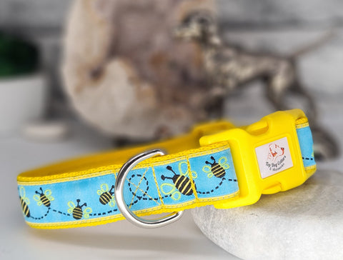 Bees Collars & Leads