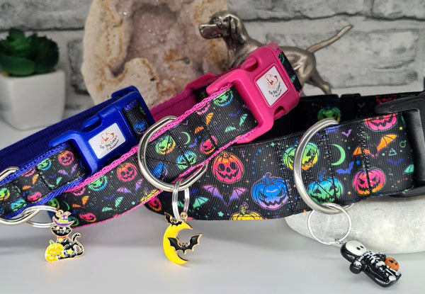 Rainbow Pumpkins Collars and Leads
