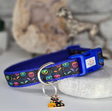 Rainbow Pumpkins Collars and Leads