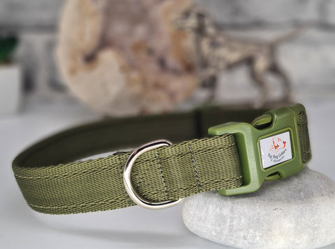 Olive Green