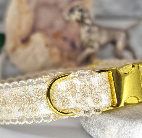 Ivory and Gold Roses