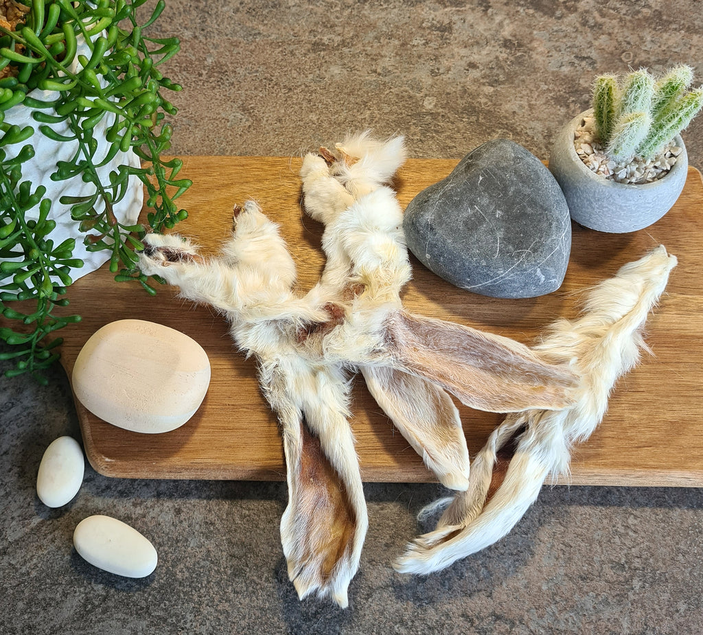 EARRESISTIBLE (Furry Rabbit Ears) Top Dog Collars & Accessories