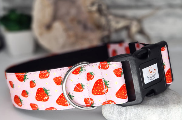 Strawberries 1" & 1.5" Collars & leads