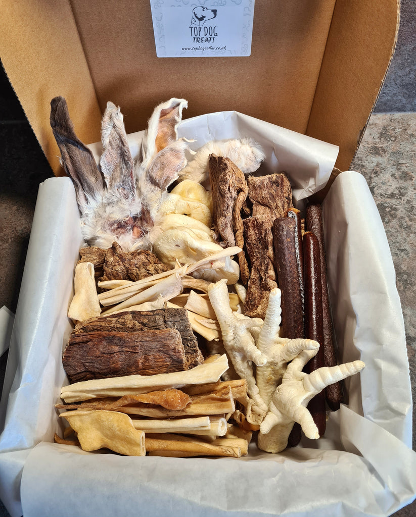 BRIBERY BOX'S (Treat Selection Boxes) Top Dog Collars & Accessories