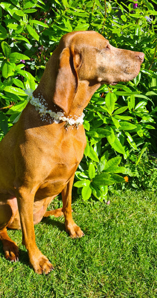 Flexible Wedding Flower Collar band