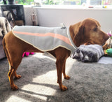 Dog Cooling Coat Harness