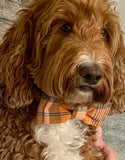 Ajka Orange Herringbone Check Bow tie