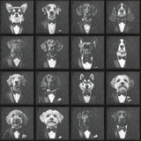 Dogs in Suits Natural Slate Coasters