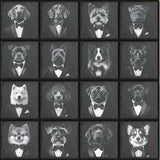Dogs in Suits Natural Slate Coasters