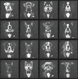Dogs in Suits Natural Slate Coasters
