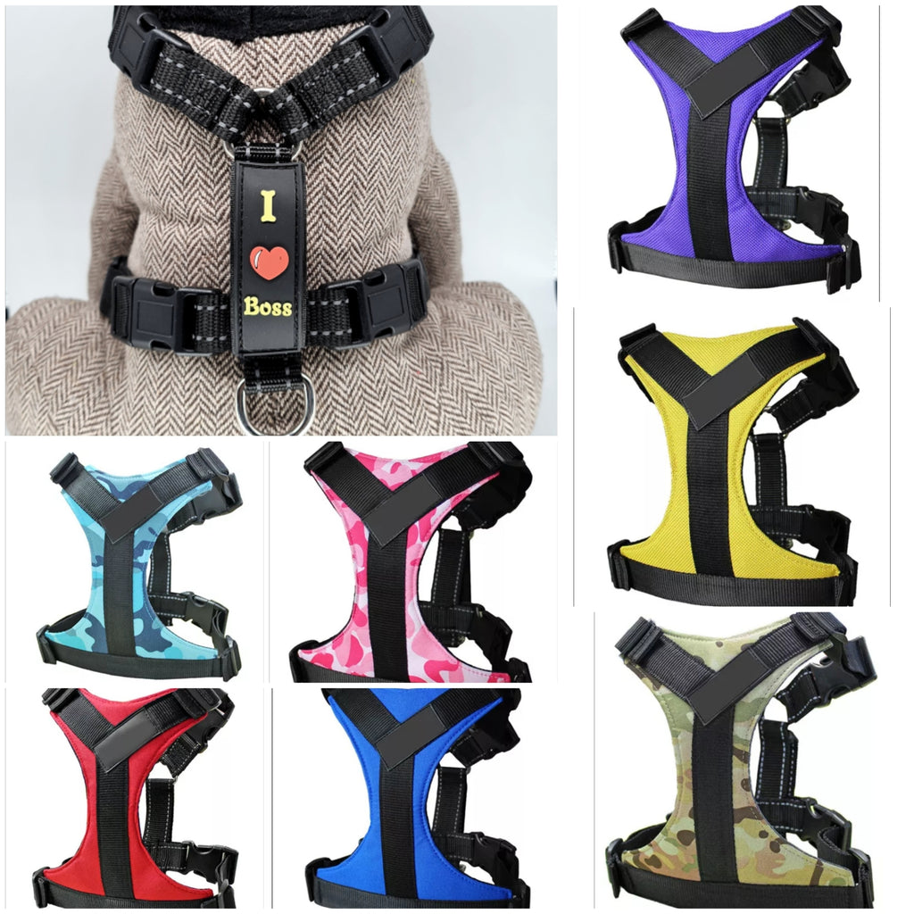 Ondoing dog clearance harness