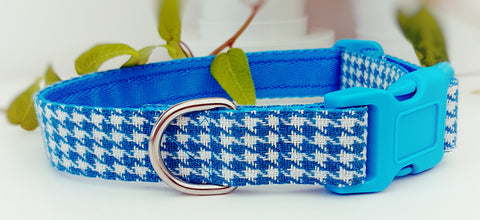 Turquoise Dog Tooth Dog Collar / Lead