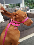 19mm Figure Eight Stop pull Head & Lead Harnesses