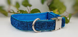 Turquoise Sparkle Dog Collars & Leads