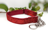Red Sparkle Collars & Leads