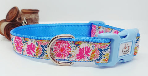 Charaya Collars & Leads