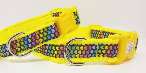 Rainbow Hearts Dog Collars & Leads