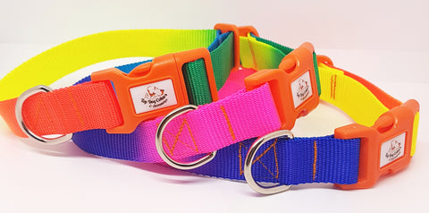 Rainbow webbing dog collars & Leads