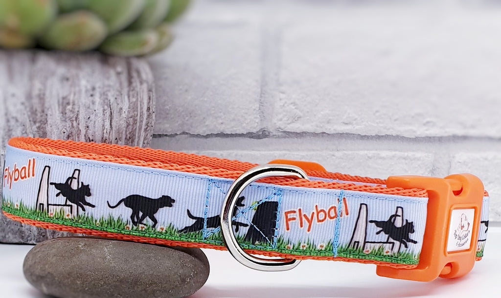 Flyball collar outlet