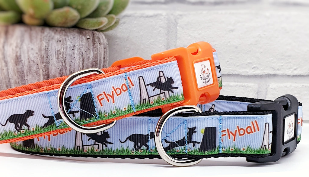 Flyball collar 2024