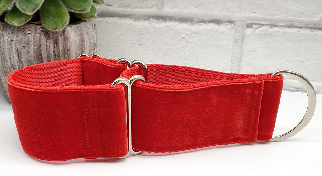 Red Velvet 2" Wide Collars Top Dog Collars & Accessories