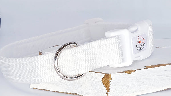 White Plain Webbing Collars & Leads