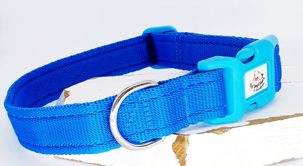 Turquoise Plain Webbing Collars & Leads