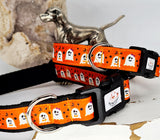 Cheeky Ghosts Collars & Leads