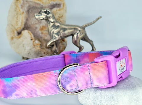 Lilac Haze Collars & Leads