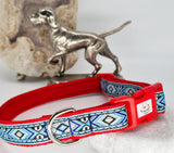 Skylos Collars & Leads