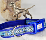 Skylos Collars & Leads