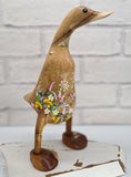 Cottage garden flowers Duck