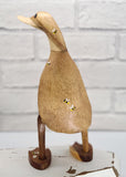 Cottage garden flowers Duck