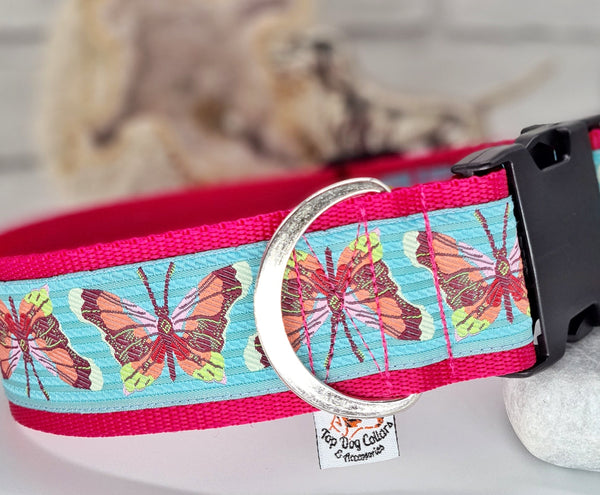 Beautiful Butterflies 2" Wide Collars