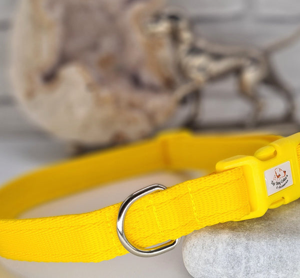 Yellow Plain Webbing Collars & Leads