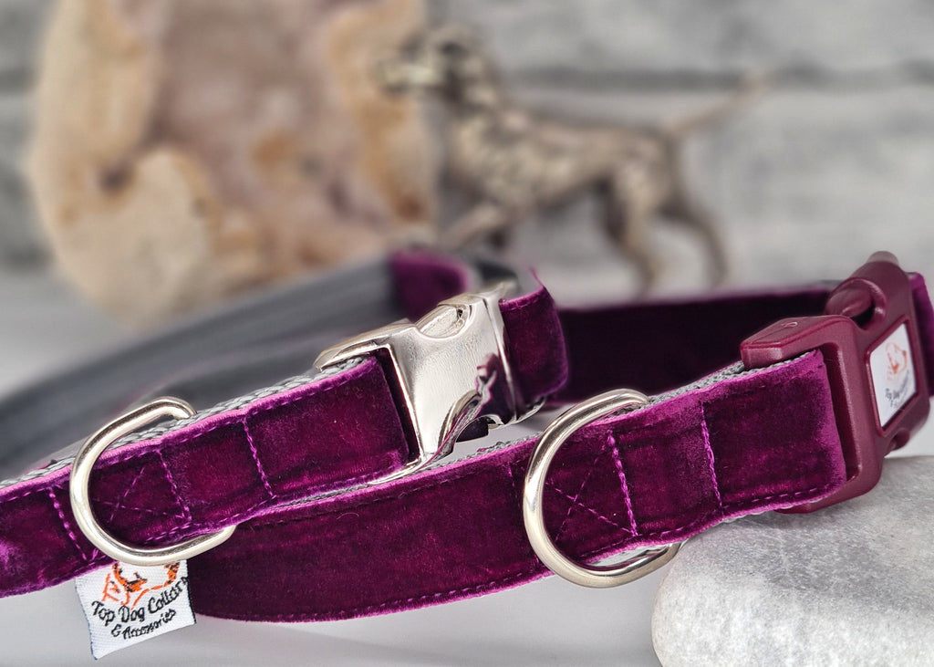 Plum velvet Collars & Leads Top Dog Collars & Accessories