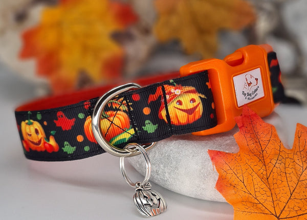 Pumpkins Collars & Leads