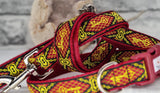Aristocrat Collars & Leads