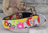 Martha Flowers Collars & leads