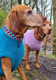 Barber stripe Collars  & Leads