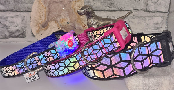 Rainbow Reflective Collars & Leads