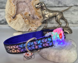 Rainbow Reflective Collars & Leads