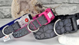Rainbow Reflective Collars & Leads