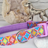 Harlequin Collars & Leads