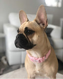 Pale Pink