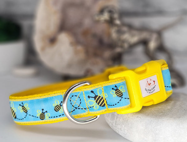 Bees Collars & Leads