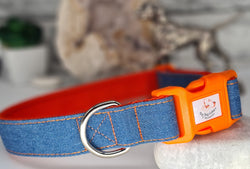 Denim Dreams Dog Collars & Leads