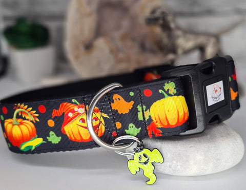 Pumpkins 1.5" Wide Collars