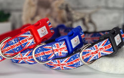 Union Jack Collars & Leads